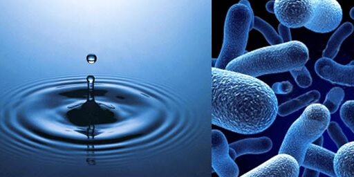 La bacteria de la legionella en el agua sanitaria (fría y caliente)