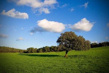 Calidad en el aire en un mundo sin humos