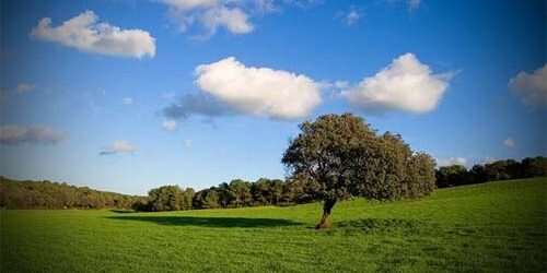 Calidad en el aire en un mundo sin humos
